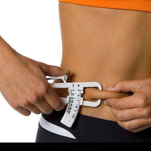 Personal Body Fat Tester