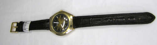Rare - Swiss 17 Jewels Roberta Mechanical Gent`s Watch