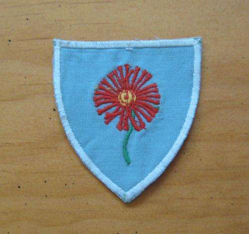 Old NORTHERN TRANSVAAL embroidered rugby logo