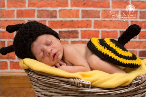 Bumble Bee Set