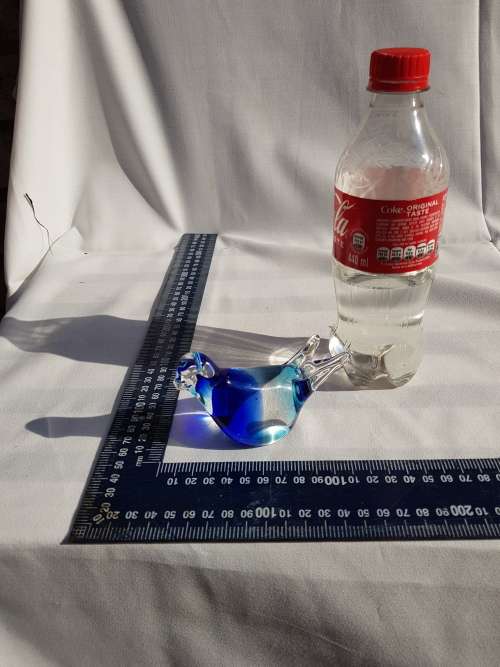 Ngwenya Bird blue colours