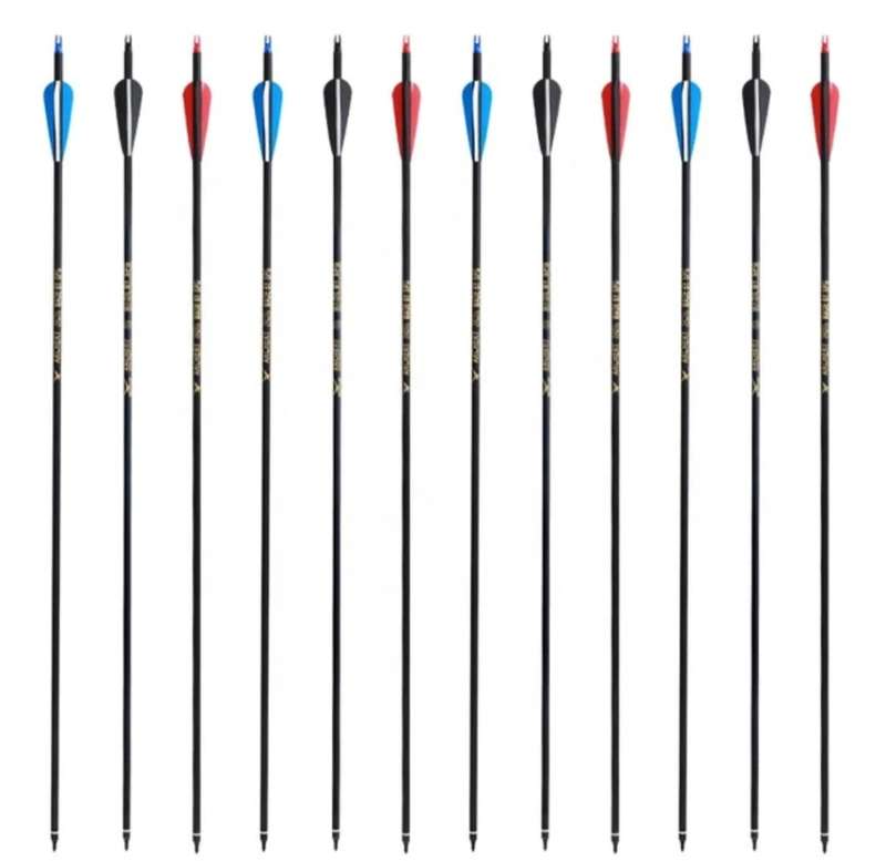 20 PACK CARBON ARROWS FOR HUNTING OR TARGETS