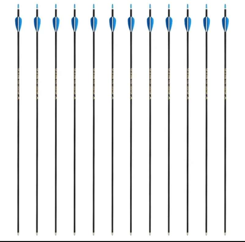 20 PACK CARBON COMPETITON ARROWS
