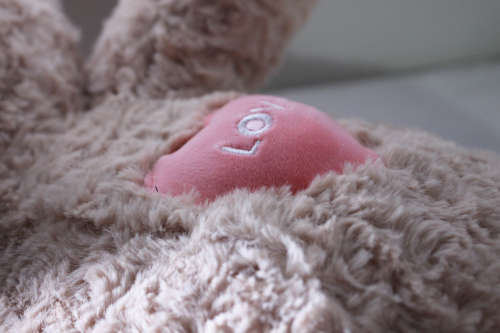 60cm Teddy Bears soft lovely bears on Special