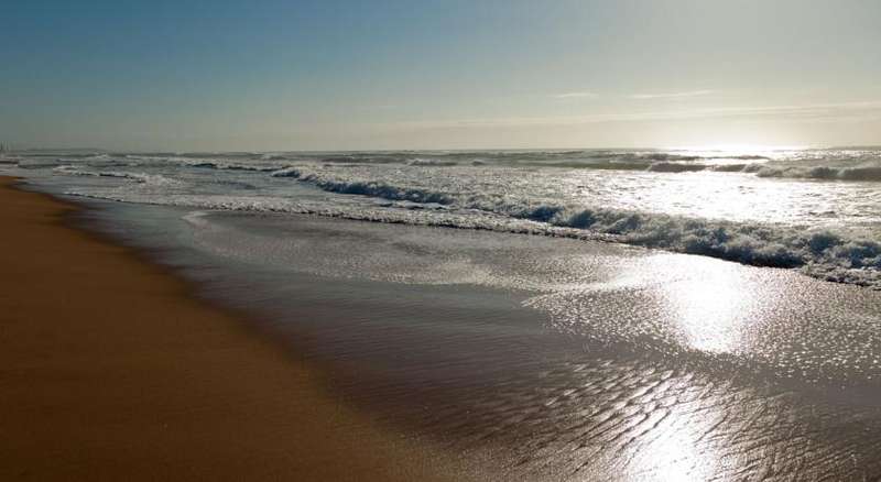 Protea Hotel Karridene - School Holidays Self-catering Accommodation