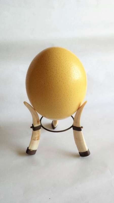 Ostrich Egg Shell with Stand