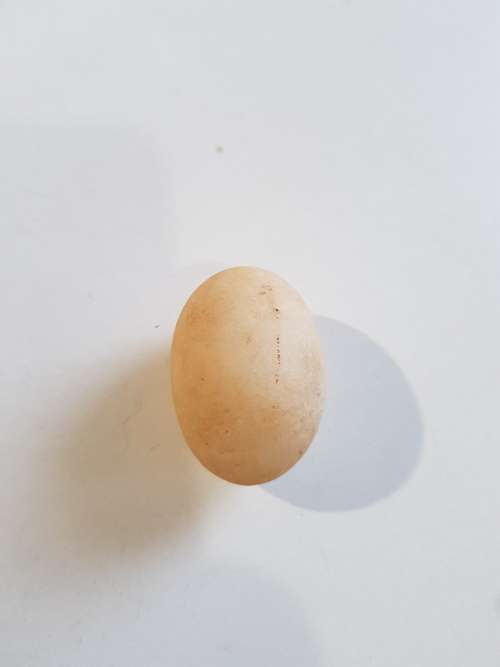 Small Stone Egg As Per Pic