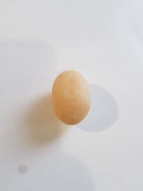 Small Stone Egg As Per Pic
