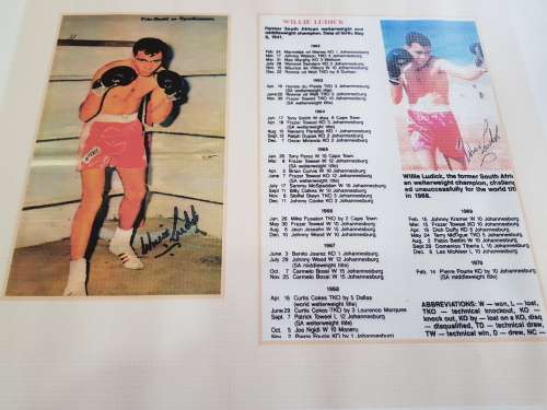 Willie Ludick, Poster and Boxing Statistcs, on Canvas