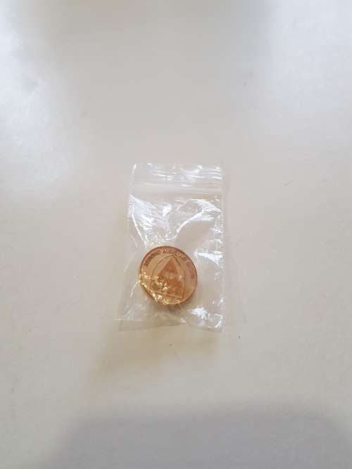 Rhodes University Graduate, Lapel Pin