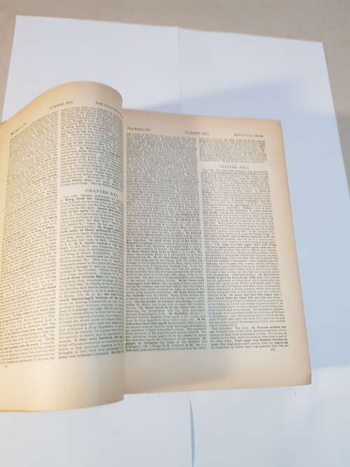 A Commentary, Critical and Explanatory on the Old and New Testaments Vol. 1