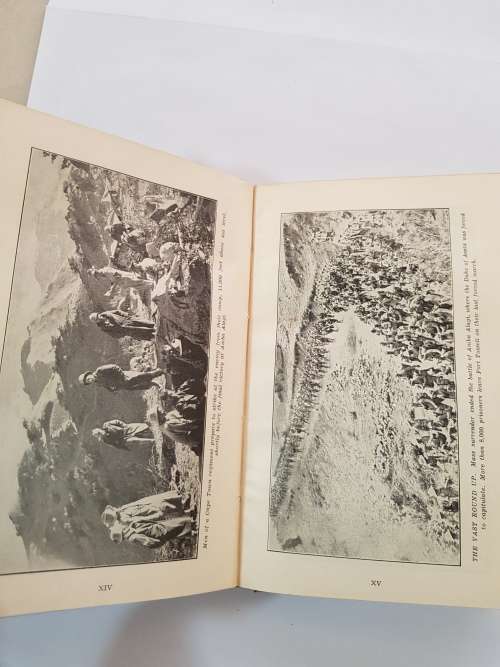 Springbok Victory by Carel Birkby, 1941