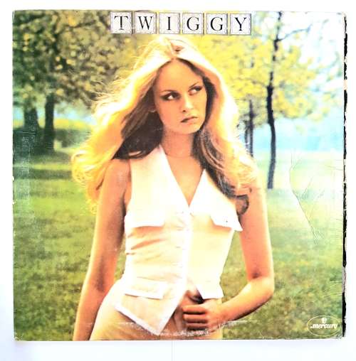 Twiggy, Twiggy LP, VG