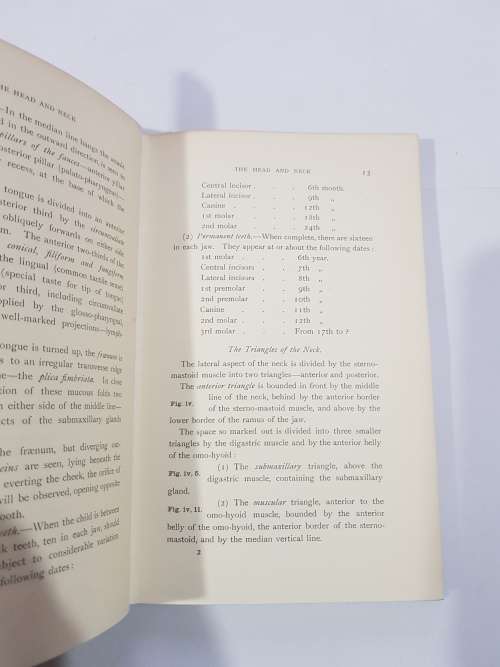 Landmarks and Surface Markings of the Human Body by L. Bathe Rawling, 1929