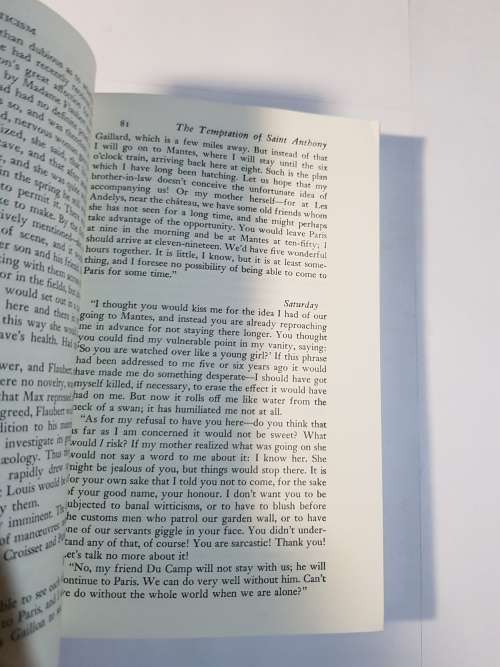 Flaubert and Madame Bovary by Francis Steegmuller