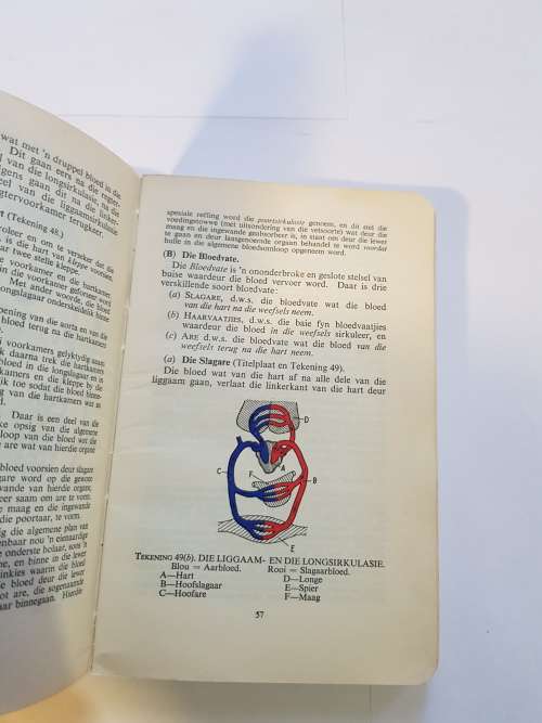 Eerste Hulp-Handboek deur Louis G. Irvine, 1956