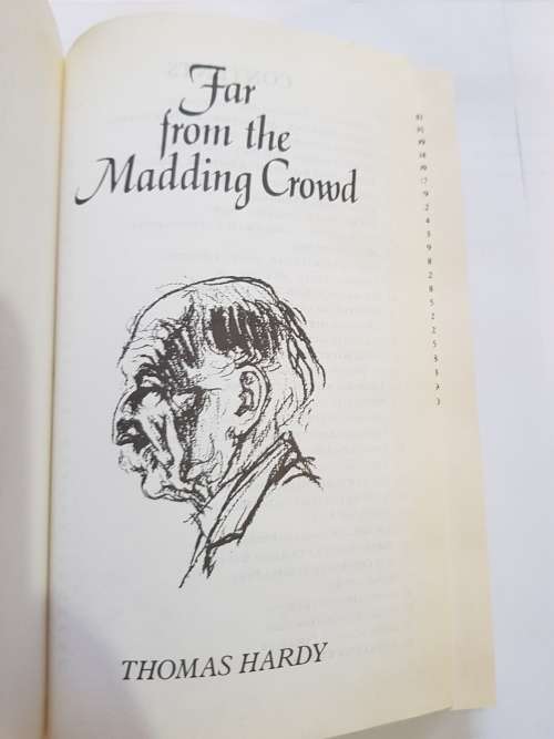 Far From The Madding Crowd by Thomas Hardy, 1991 Hardcover, The Great Writers
