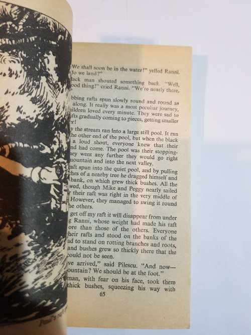 The Secret Mountain by Enid Blyton, 1981