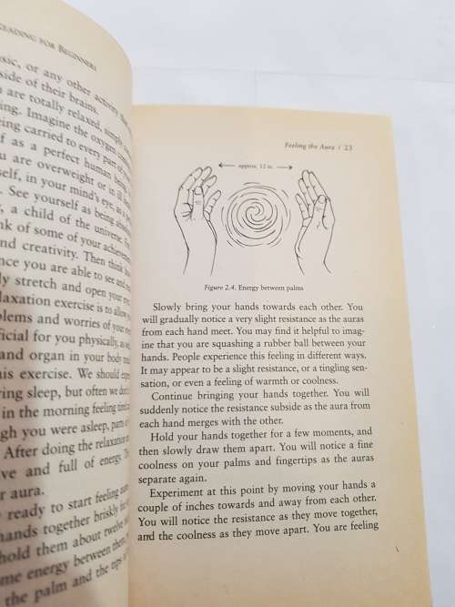 Aura Reading for Beginners by Richard Webster