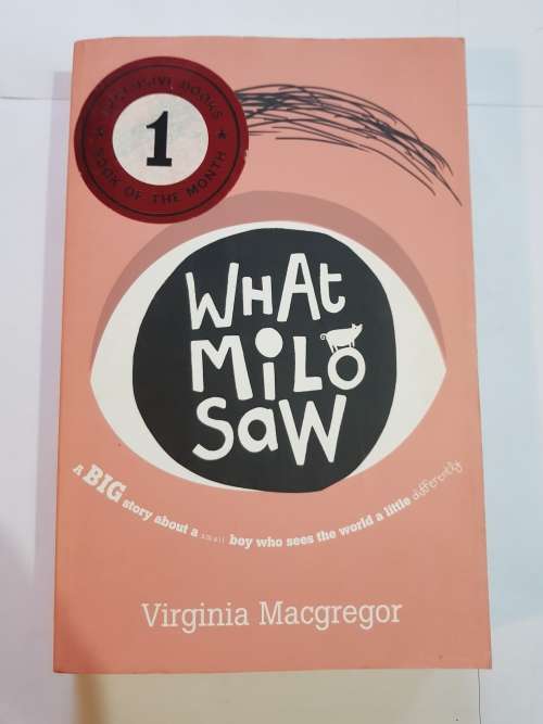 What Milo Saw by Virginia Macgregor