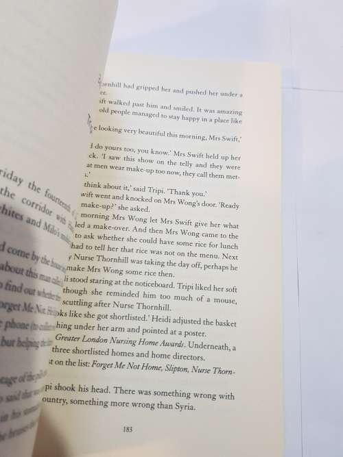 What Milo Saw by Virginia Macgregor