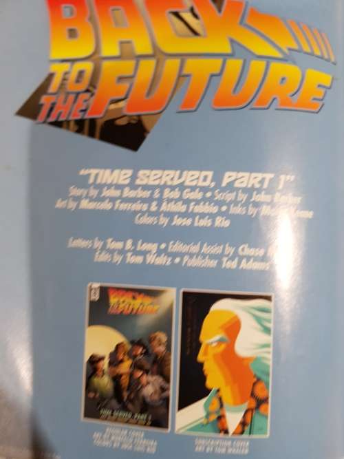 Back to the Future, Time Served Part 1, IDW Issue 2, 2017, 1st Printing