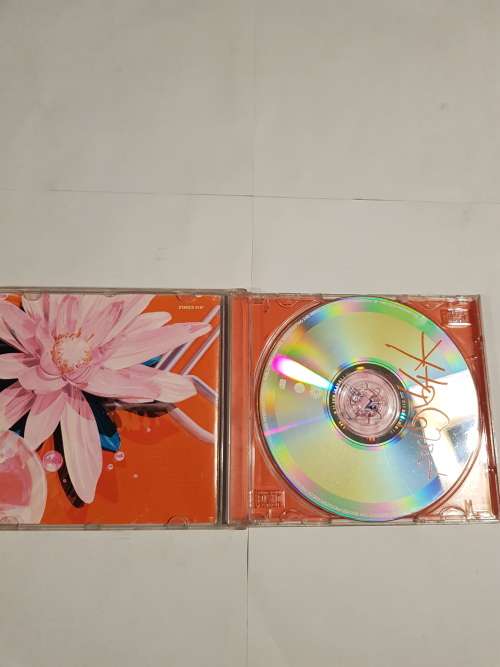 Bjork, Post CD