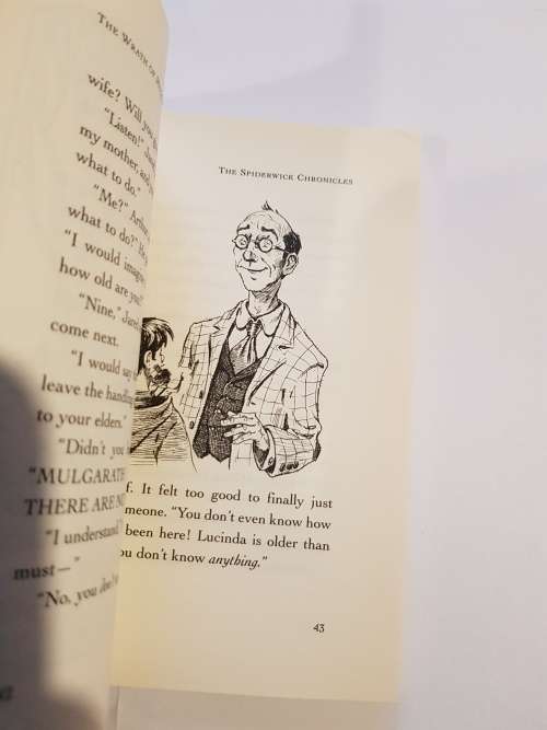 The Spiderwick Chronicles, Book 5, The Wrath of Mulgarath by Tony Diterlizzi & Holly Black
