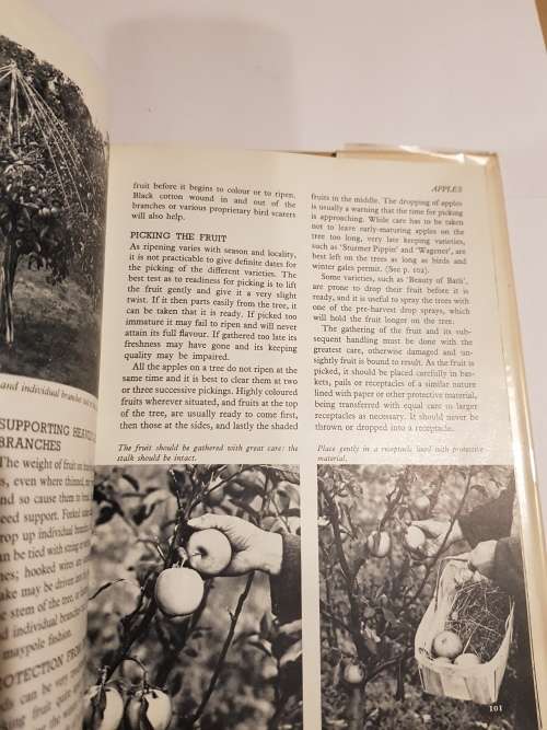 The Fruit Garden Displayed, The Royal Horticultural Society, Geoffrey Bles, 1965