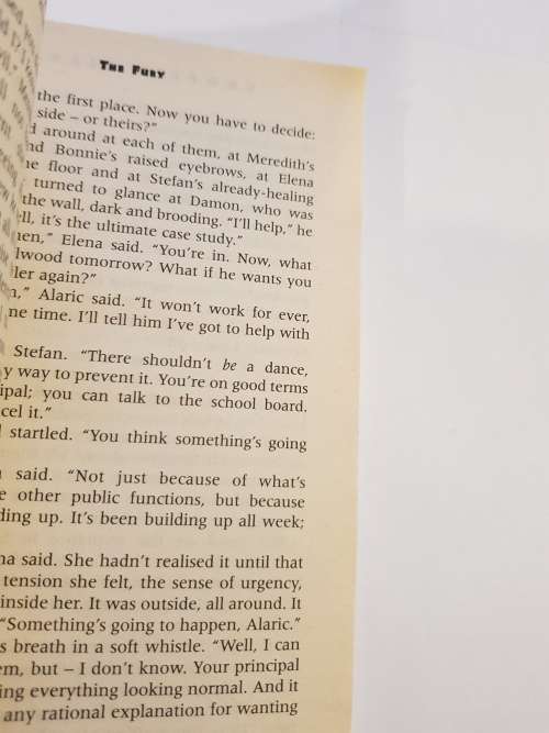 Vampire Diaries, The Fury The Reunion by L.J. Smith