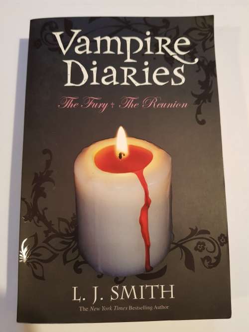 Vampire Diaries, The Fury The Reunion by L.J. Smith