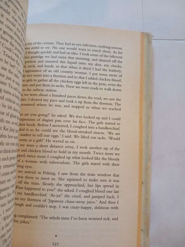 The Bonesetter`s Daughter by Amy Tan, Hardcover