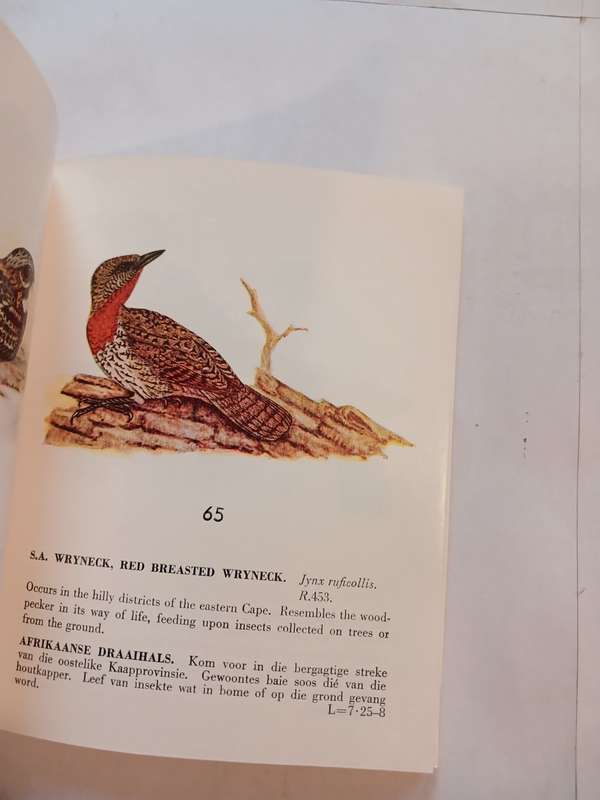Some Protected Birds of the Cape Province, English/Afrikaans, 1957