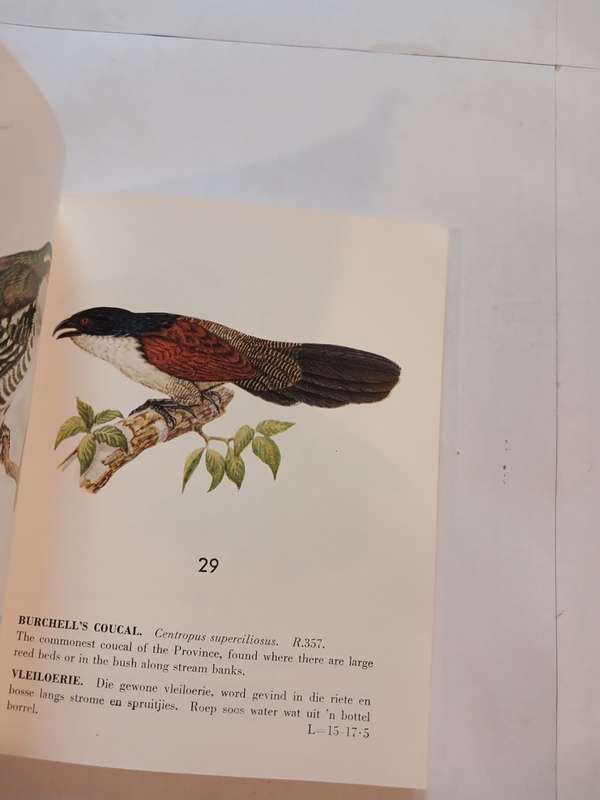 Some Protected Birds of the Cape Province, English/Afrikaans, 1957