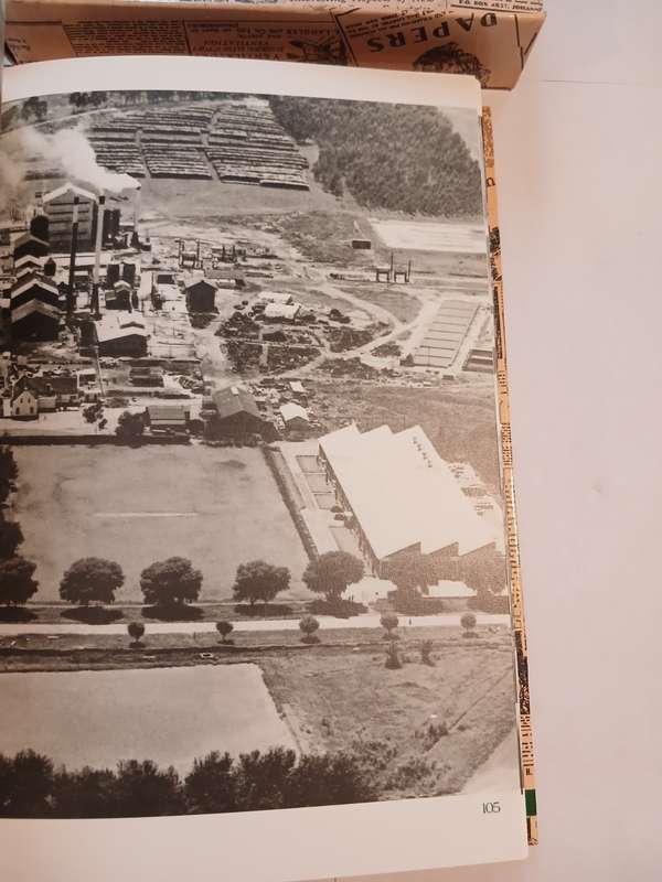 Paper Chain, The Story of Sappi by Anthony Hocking, Hardcover