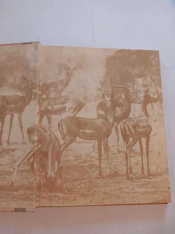 Our South African National Parks edited by Colonel Stevenson-Hamilton