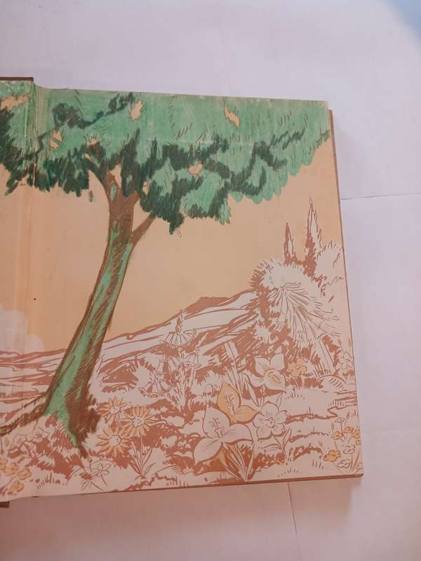 Our South African Flora edited by R.H. Compton
