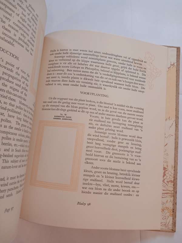 Our South African Flora edited by R.H. Compton