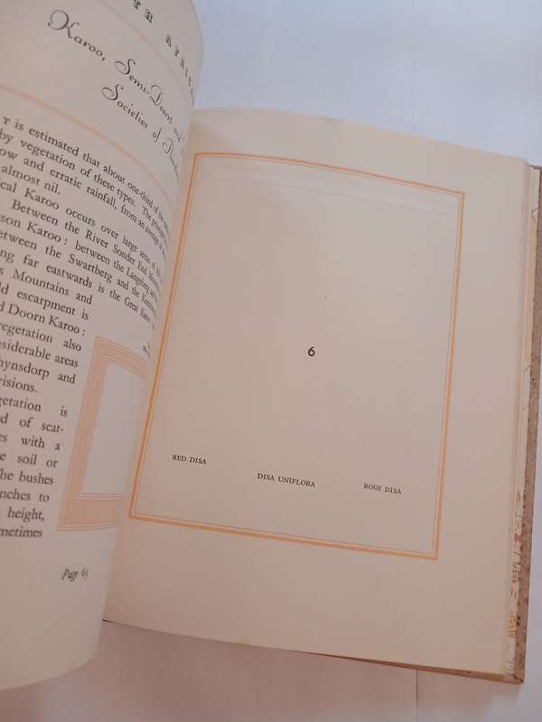 Our South African Flora edited by R.H. Compton
