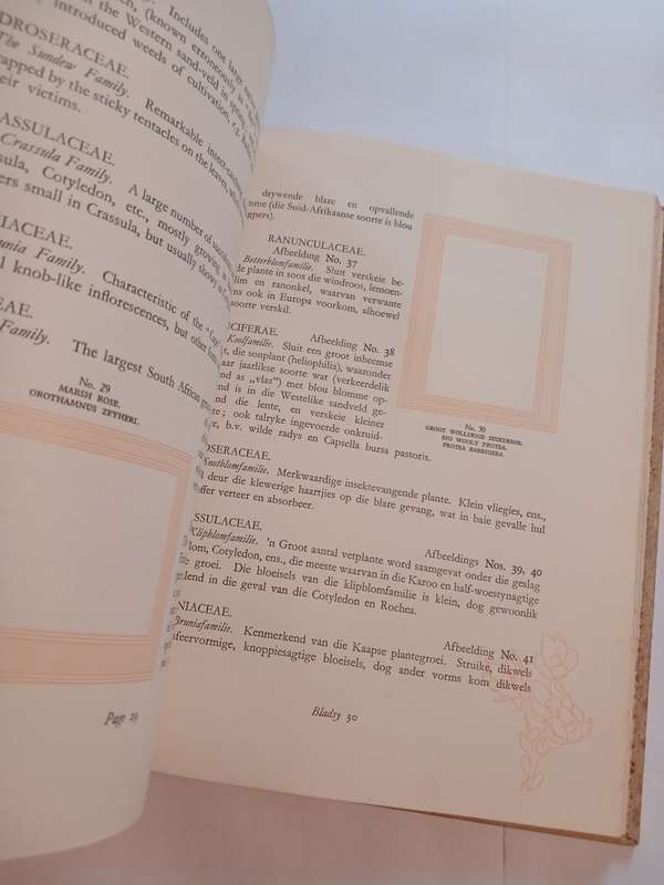 Our South African Flora edited by R.H. Compton