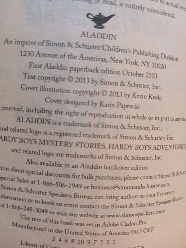 Hardy Boys Adventures, Into Thin Air by Franklin W. Dixon