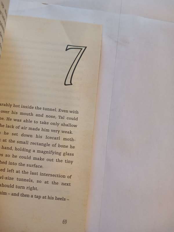 The Seventh Tower, Castle by Garth Nix