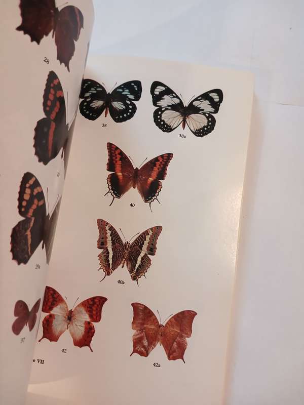 Butterflies of Rhodesia, Bundu Series by Richard Cooper