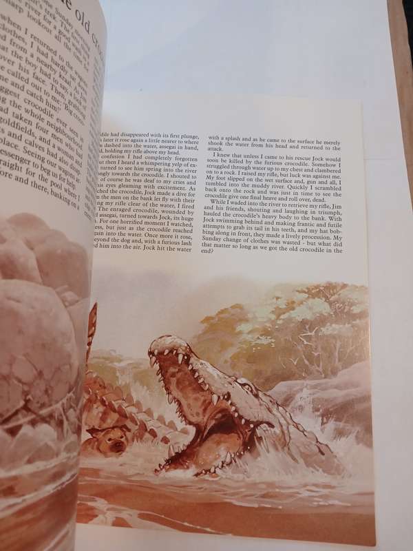 Jock of the Bushveld by Sir Percy Fitzpatrick retold by Phillida Brook Simons
