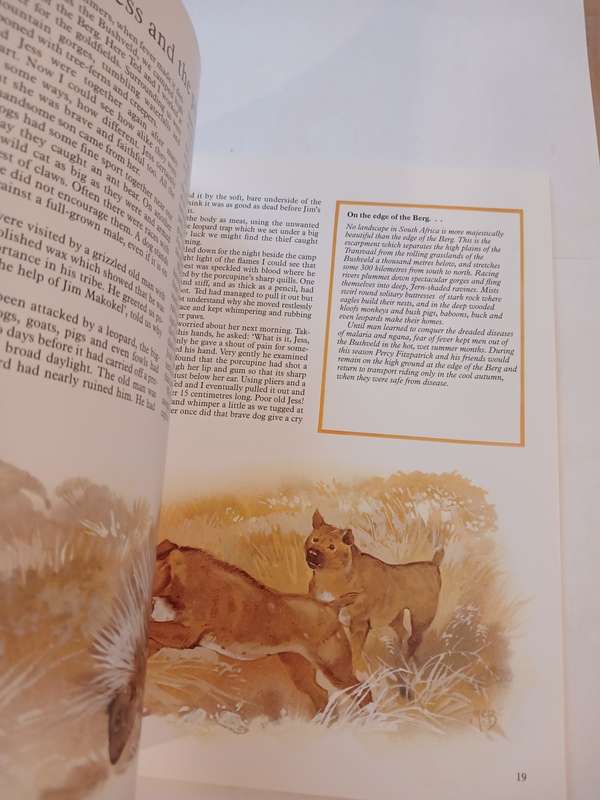 Jock of the Bushveld by Sir Percy Fitzpatrick retold by Phillida Brook Simons