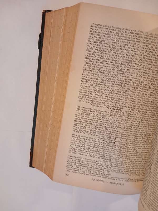 Meyers Konversations-Lexikon, 1890