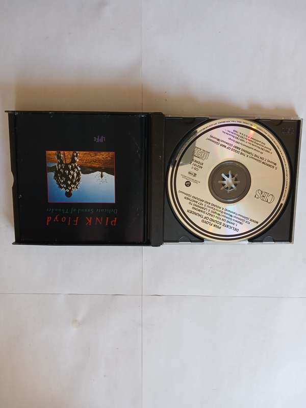 Pink Floyd, Delicate Sound of Thunder, 2 x CD, Australia