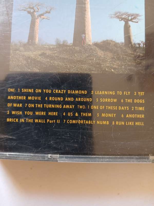 Pink Floyd, Delicate Sound of Thunder, 2 x CD, Australia