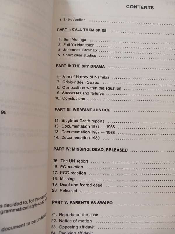 Call Them Spies by Nico Bosman and Ben Motinga