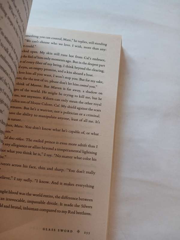 Glass Sword by Victoria Aveyard